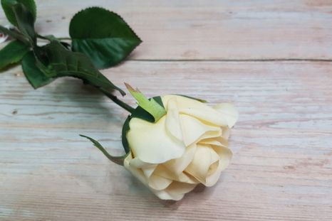 Dekoračná ruža Beige