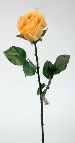 Dekoračná ruža Orange