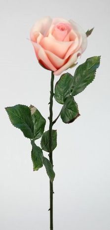 Dekoračná ruža Pink