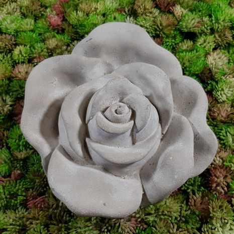 Dekoračná ruža Shy