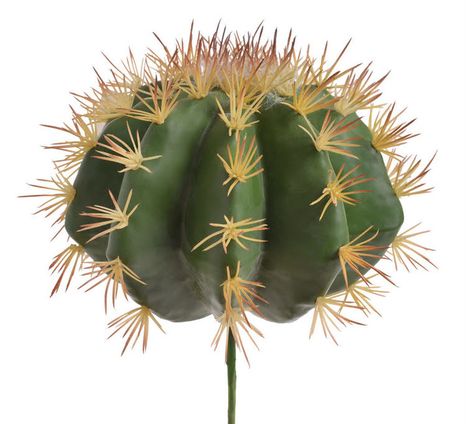 Dekoračný kaktus XL
