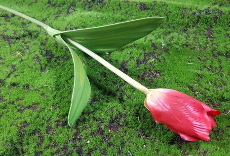 Dekoračný Tulipán Red