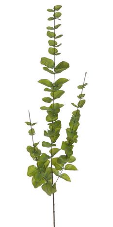 Eukalyptus Green 76cm