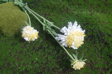 Halúzka Flower white