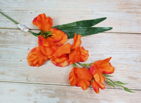 Halúzka gladiola Simple orange