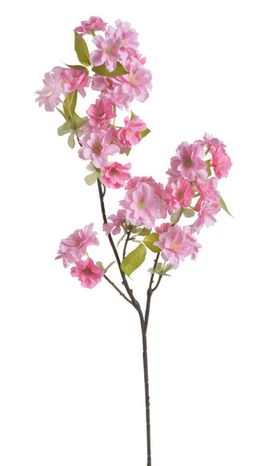 Halúzka kvitnúca Višňa pink 85cm