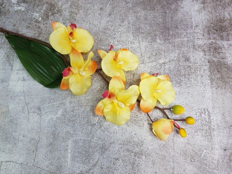 Halúzka Orchidea matte dandelion