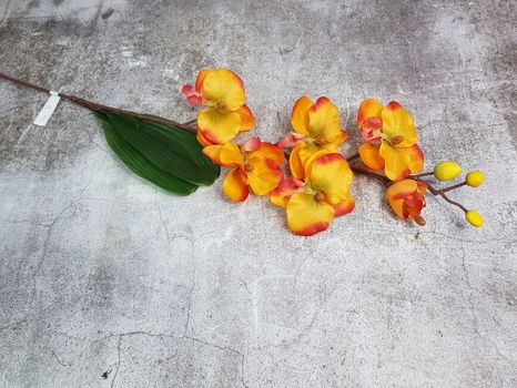 Halúzka Orchidea matte orange