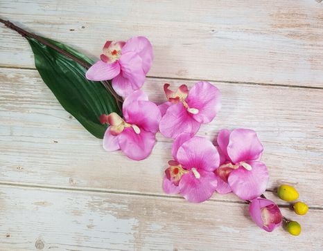 Halúzka Orchidea matte pink