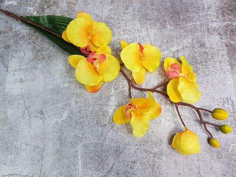 Halúzka Orchidea matte yellow