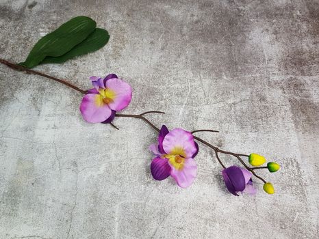 Halúzka orchidea Purple (Poškodené)