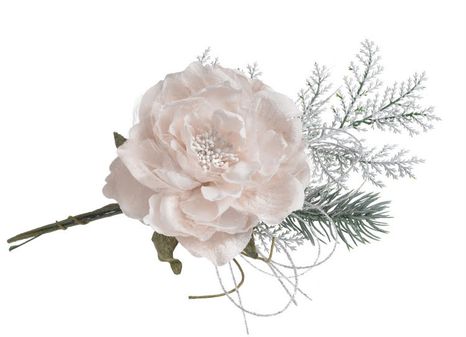 Halúzka ružička Elegant cream