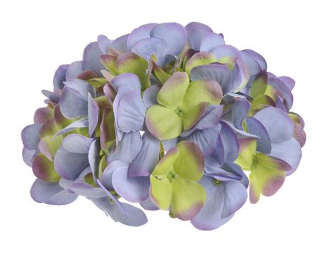 Hlavička hortenzia Asia purple green 6ks