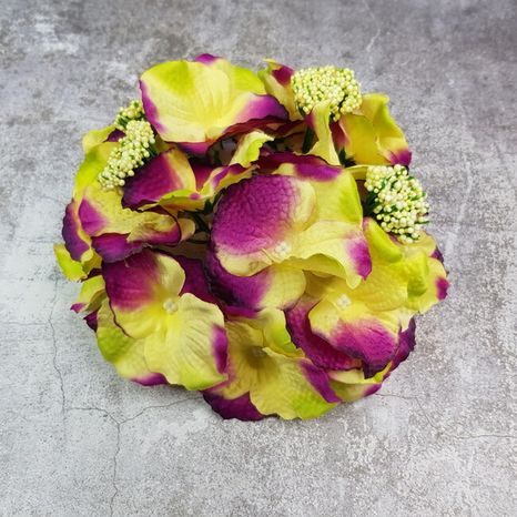 Hlavička hortenzie Hydrangea purple yellow