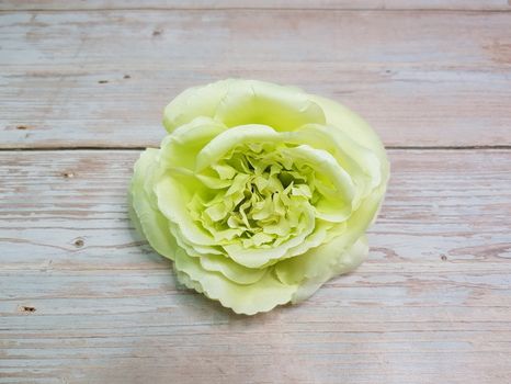 Hlavička ruže Maryrose apple green 10ks