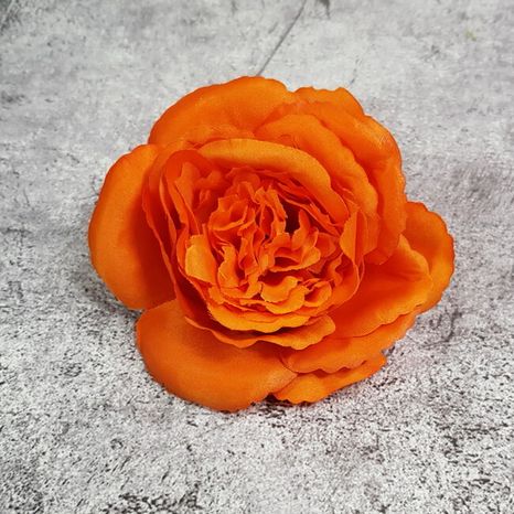 Hlavička ruže Maryrose orange 12ks
