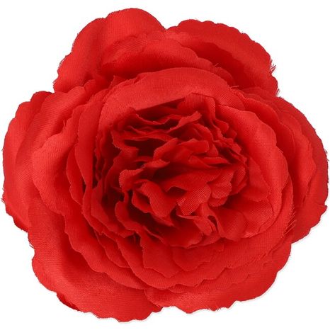 Hlavička ruže Maryrose pure red 12ks
