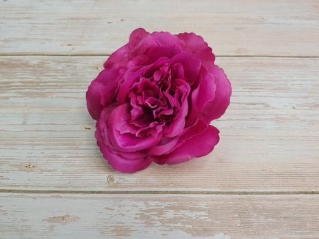 Hlavička ruže Maryrose wild berry 12ks