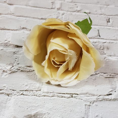 Hlavička ruže Solero flax 12ks