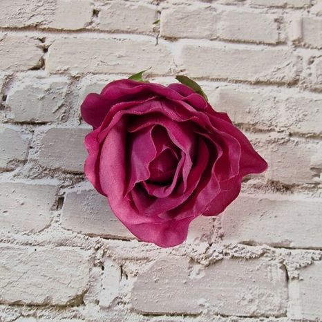 Hlavička ruže Solero mulberry 12ks