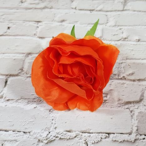 Hlavička ruže Solero orange 12ks