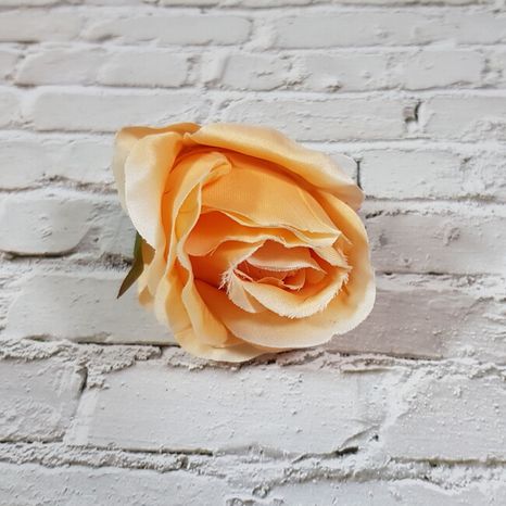 Hlavička ruže Solero peach 12ks