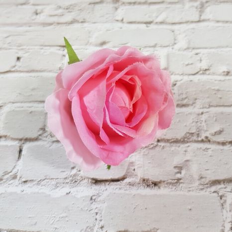Hlavička ruže Solero pink 12ks