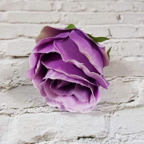 Hlavička ruže Solero purple 12ks