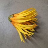 Hlavičky chryzantém Flower orange 4ks