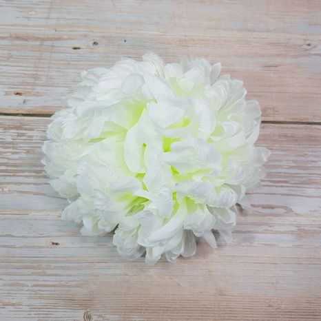 Hlavičky chryzantém white-green 6ks