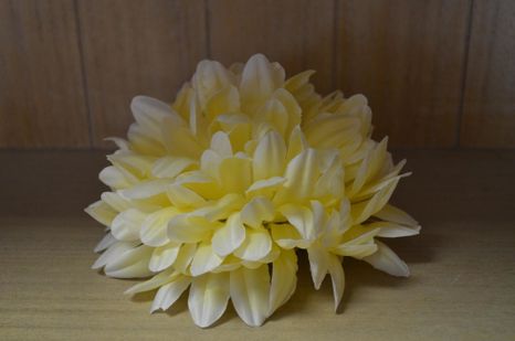 Hlavičky chryzantéma Yellow 6ks