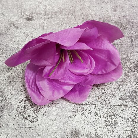 Hlavičky kvetov Amarylis Babylon purple 12ks