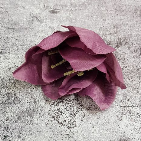 Hlavičky kvetov Amarylis Eufrat purple 12ks