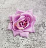 Hlavičky kvetov Carina Rose purple 12ks