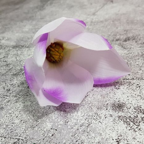 Hlavičky kvetov Magnólie lilac 6ks