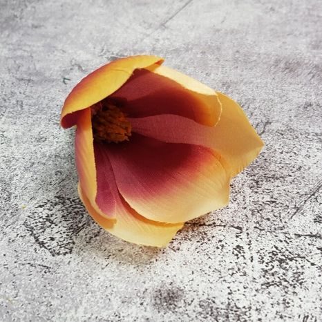 Hlavičky kvetov Magnólie peach