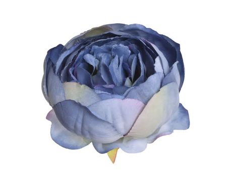 Hlavičky kvetov Pivonka blue 6ks