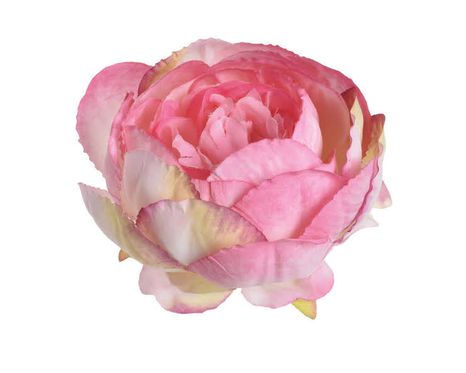 Hlavičky kvetov Pivonka blush pink 6ks