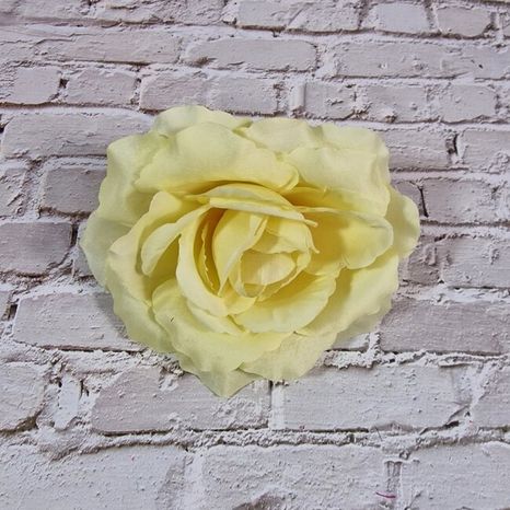 Hlavičky ruží Alison yellow 6ks