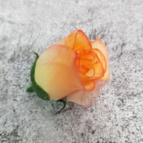 Hlavičky ruží Eleganza sand peach 12ks