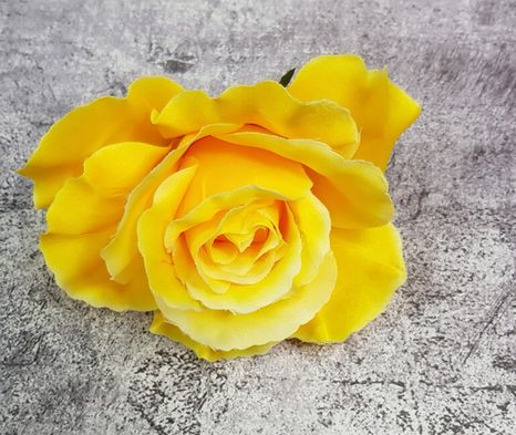 Hlavičky ruží Ethiopia yellow 10ks