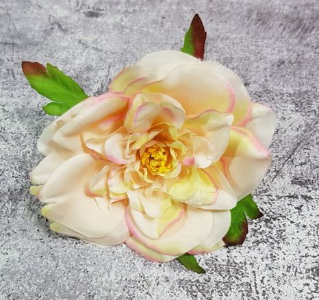 Hlavičky ruží Garden rose peach 6ks