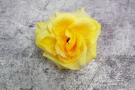 Hlavičky ruží Magic yellow 12ks