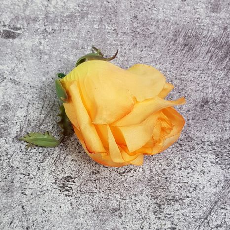 Hlavičky ruží Royal papaya 12ks
