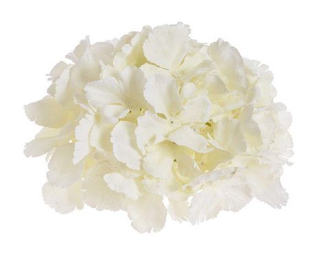 Kvet hortenzie Cream 20cm