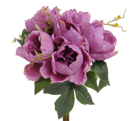 Kytica Provence roses purple