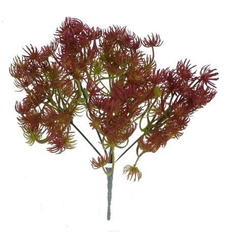 Kytička Limnofilium brown