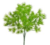 Kytička Limnofilium green