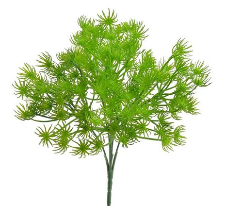 Kytička Limnofilium green