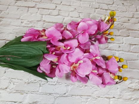 Kytička Orchidea pink